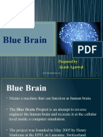 Blue Brain: Prepared By: Akash Agarwal