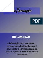 Inflamação PDF