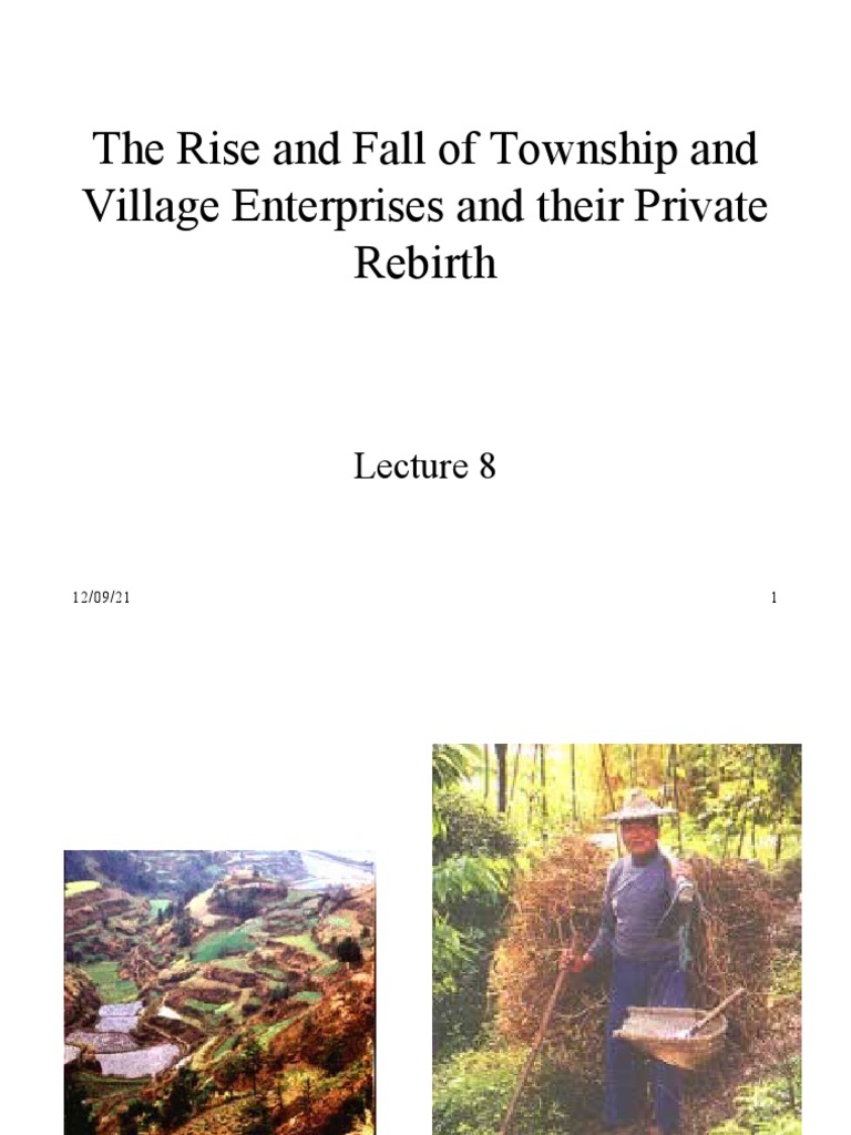 The Rise and Fall of Township and Village Enterprises and Their Private