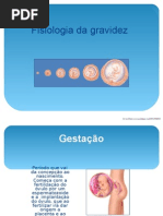 Fisiologia Da Gravidez SLAIDE