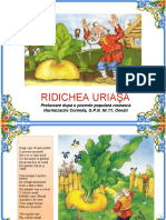 0 3 Ridichea Uriasa