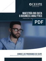 Master Bigdata and Business Analytics