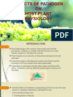 Plant Fungal Diseases 3