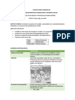 Actividad de Autocuidado y Protocolos 2022