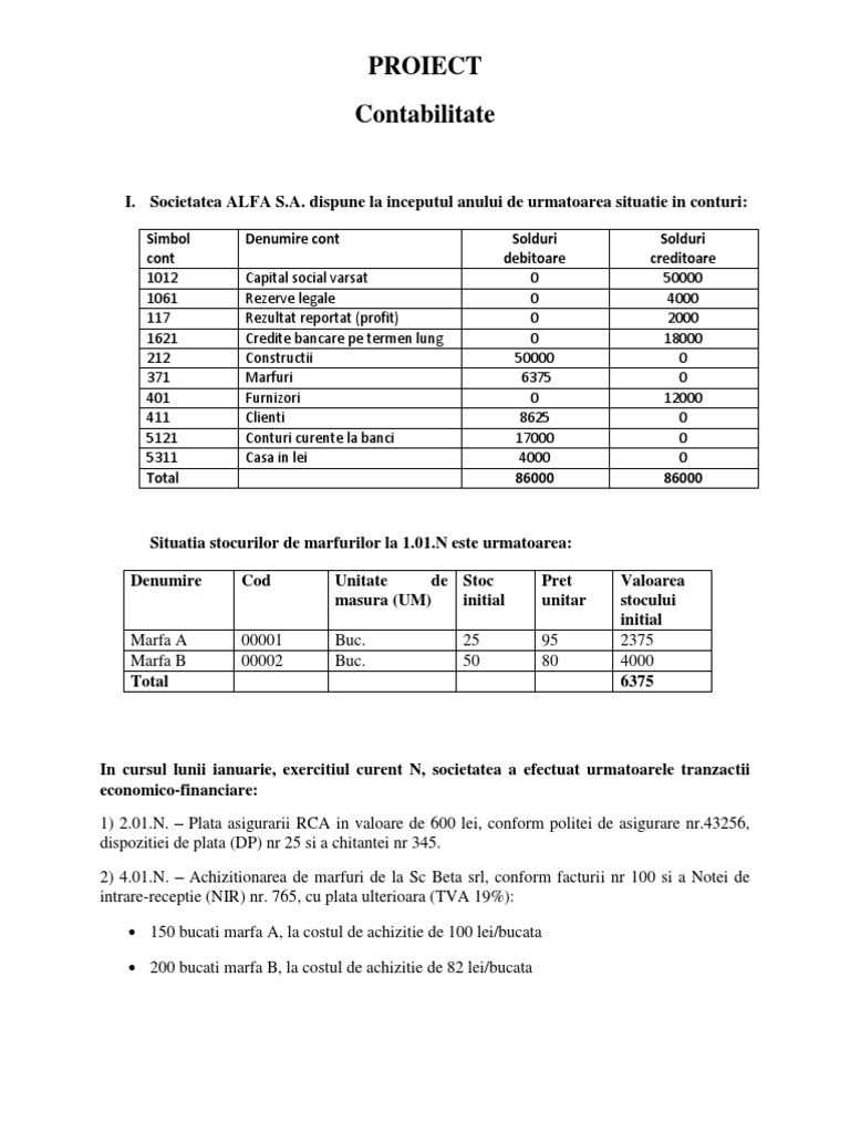 Proiect Contabilitate - PEE | PDF