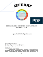 Referat Final ISA IONUT