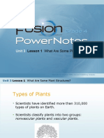 Unit 3: Lesson 1 What Are Some Plant Structures?
