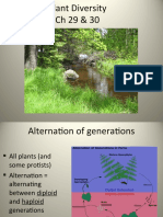 Plant Diversity Notes CH 29 and 30