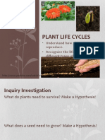 Plant Life Cycles Explained