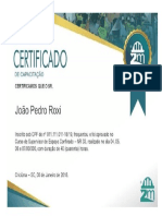 certificado1-NR33