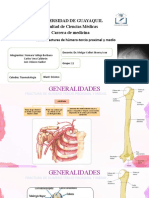 Fracturas de Humero Tercio Prox y Medio