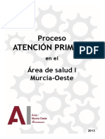 260537-Proceso Atencion Primaria