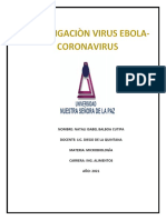 Historia y características del virus Ébola