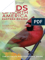 Birds of North America Eastern Region by DK