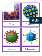 Tipos de Virus Comunes Letra Imprenta