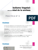 N°3-Metabolismo Vegetal