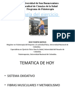 Sistema oxidativo y adaptaciones musculares