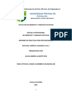 Informe de Practicas Pre-Profesionales de La Universidad Privada de Pucallpa (Alicia Alberti)