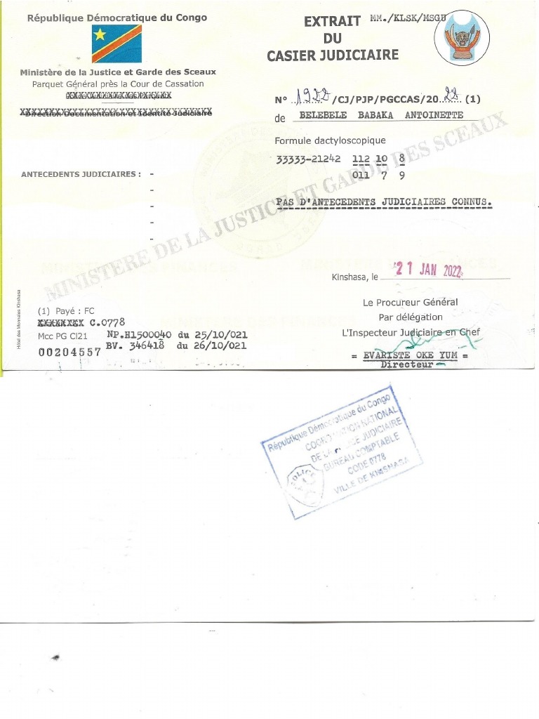 Extrait Du Casier Judiciaire | PDF