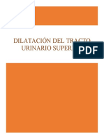 DILATACIÓN DEL TRACTO URINARIO SUPERIOR