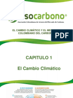 El Cambio Climatico y El Mercado Colombiano Del Carbono Cap. 1 Medidas de Meitigacion