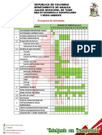 Cronograma de Actividades