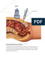 Descripción General