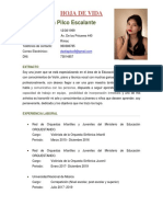 CV Debora-Pilco