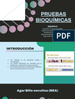 Pruebas bioquímicas_Equipo 5