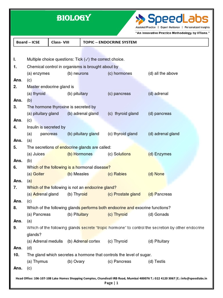 Endocrine system visual data 3