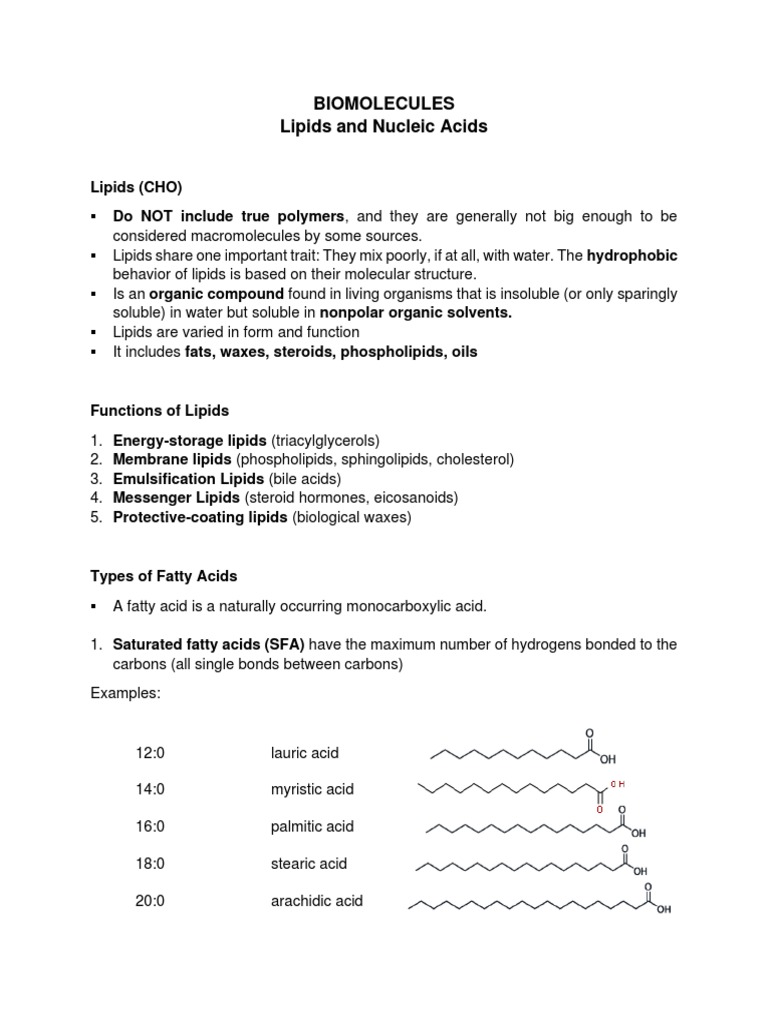 Lipids and Nucleic Acids Overview | PDF | Fat | Lipid