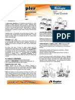 01 ORIGEN DE LA VIDA Practica PDF