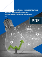 Promoting Sustainable Entrepreneurship Through Business Incubators, Accelerators and Innovation Hubs