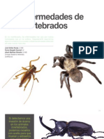 10 Las Enfermedades de Los Invertebrados