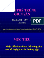 HÌNH THỂ TRỨNG GIUN SÁN.power point