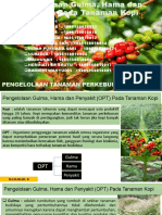 PTPL KELOMPOK ! (Pengelolaan Gulma, Hama Dan Penyakit Kopi)