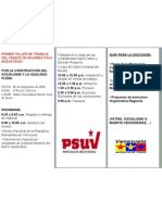 Triptico de Frente de Mejeres Del Psuv Rev