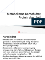 2 Karbohidrat, Protein