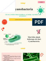 Cyanobacteria X IPS 3