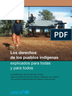 Derechos Indigenas Unicef