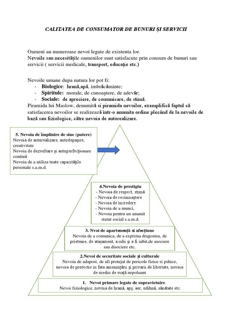 Consumatorul Si Producatorul | PDF