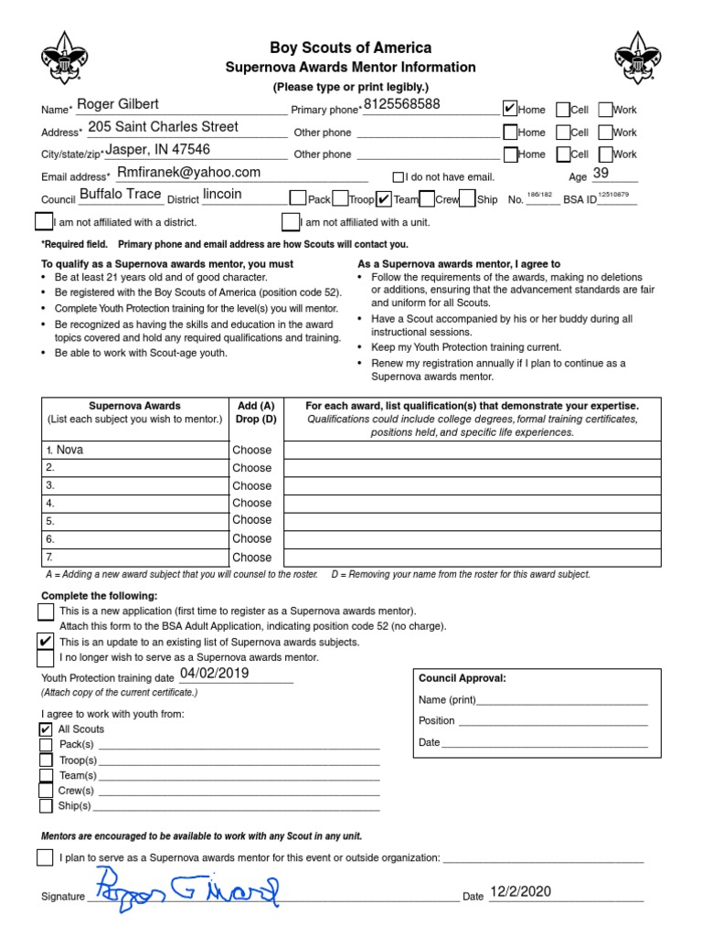 Supernova Awards Mentor Application Guide | PDF | Mentorship | Boy ...