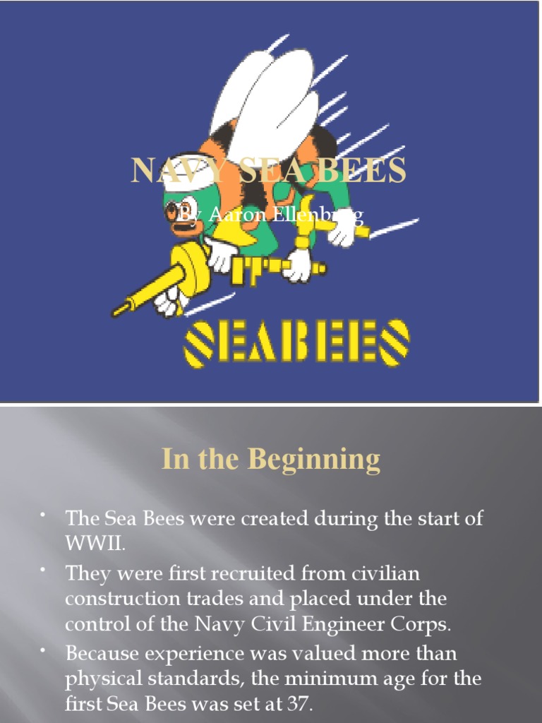 Seabees Power Point