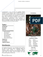 Orchidoideae - Wikipédia, A Enciclopédia Livre