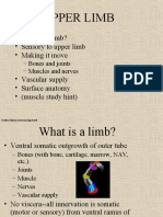 upper limb ppt