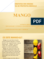 Referat Mango