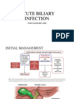 Biliary tract infection - tokyo guideline