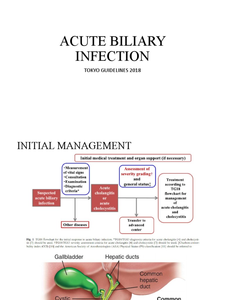 Biliary Tract Infection Tokyo Guideline PDF