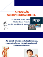 A Mozgás Szervrendszere II