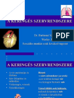 A Keringés Szervrendszere